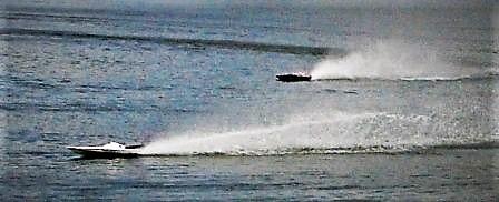 Arecibo Mini Offshore's Avatar